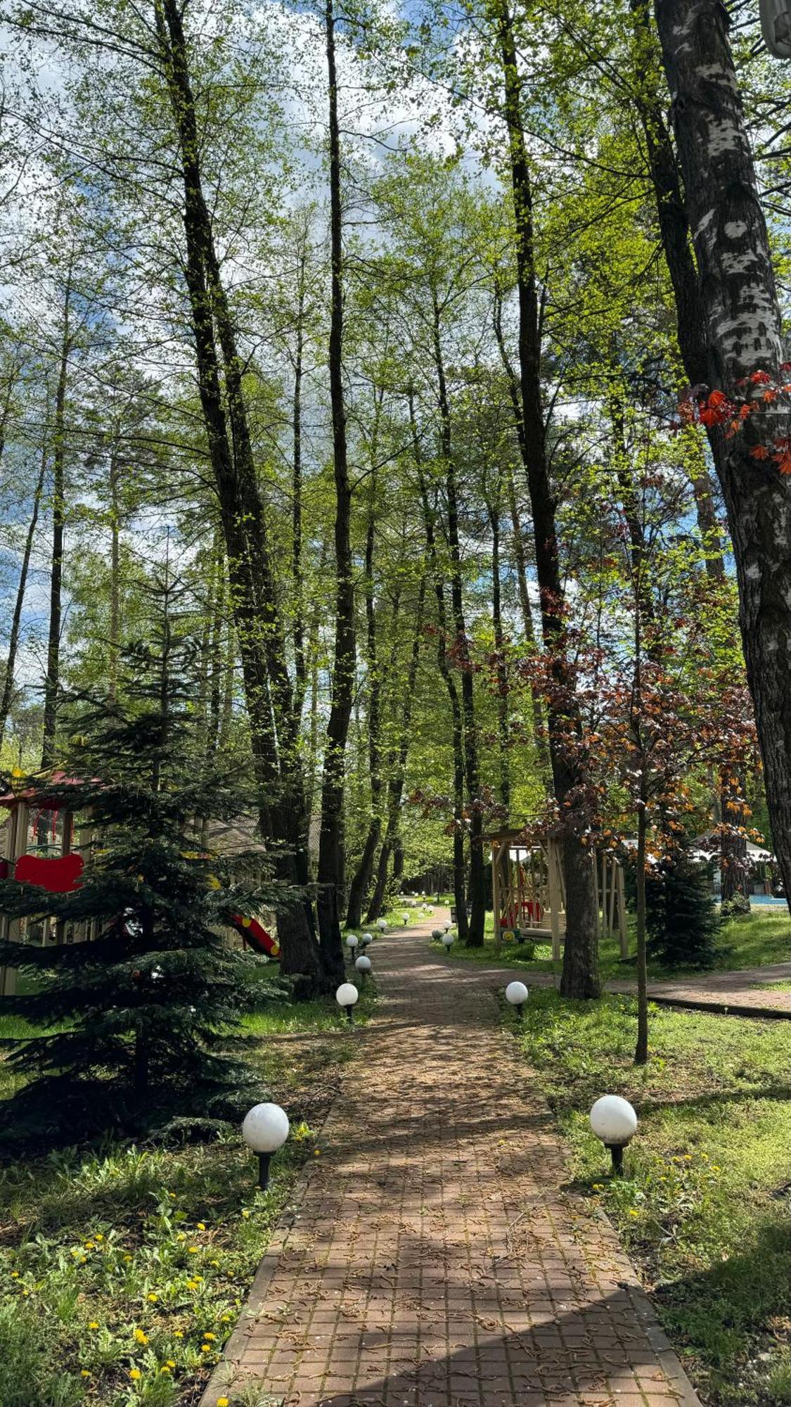 Tysha Forest Club Romankiv Bagian luar foto